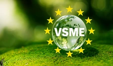 VSME